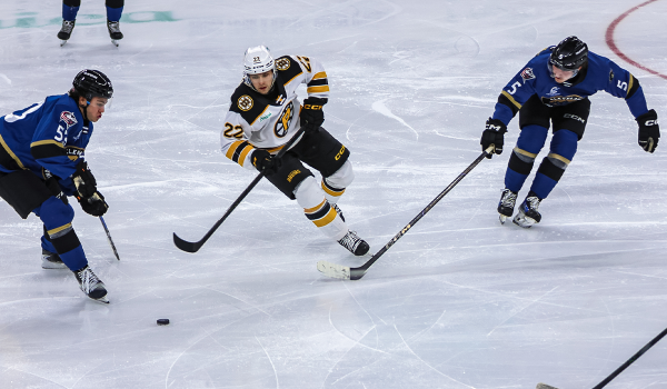 Featured Image 01 18